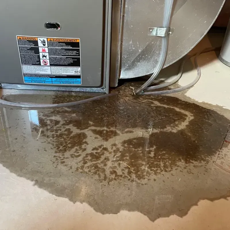 Appliance Leak Cleanup in Sauk Village, IL